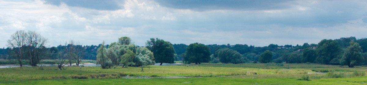 cropped-elbe.jpg
